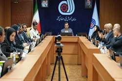 معاون وزیر کار: مرکز ملی راهبری و پایش قانون، بازوی اجرایی شورای عالی برای ایجاد نظام صلاحیت حرفه‌ای است
