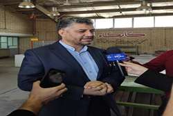 معاون وزیر تعاون، کار و رفاه اجتماعی خبر داد:مناطق آزاد پایلوت اجرای طرح مدرسه تابستانه مهارت آموزی ویژه دانش آموزان بومی